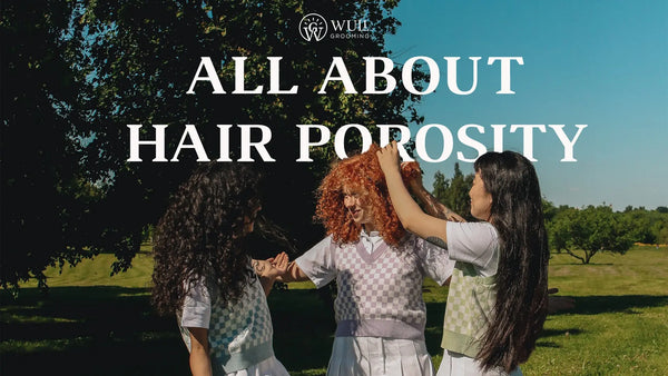 Image of hair porosity